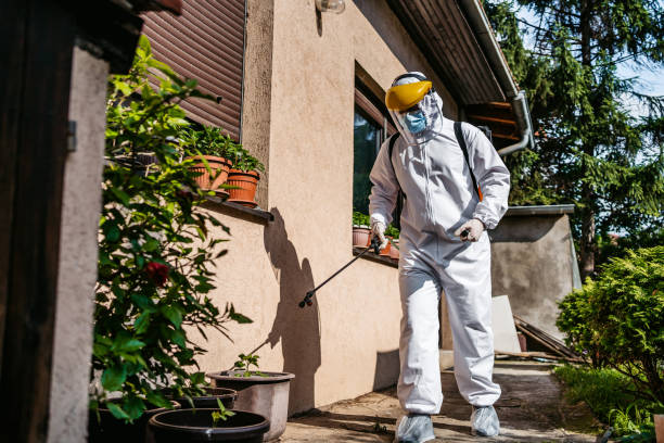 Best Mosquito Control Services  in Elberton, GA