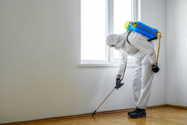 Best Best Pest Control Companies  in Elberton, GA