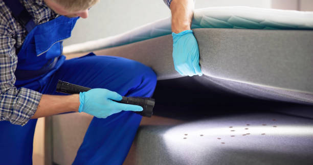 Best Pest Control Near Me  in Elberton, GA